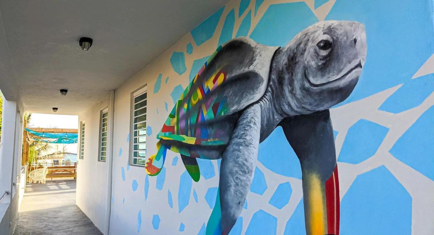 The Surfing Turtle Hotell Luquillo Eksteriør bilde